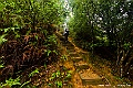 _DSC8736