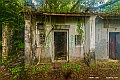 _DSC8737
