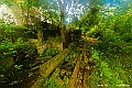 _DSC8739