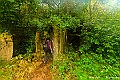 _DSC8740