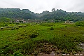 _DSC8775