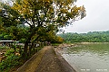 _DSC8776
