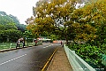 _DSC8782