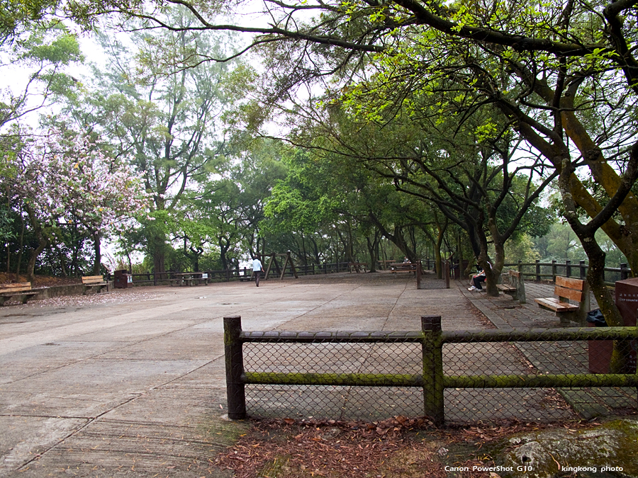 IMG_1501.JPG - THE HONG KONG TRAIL 6