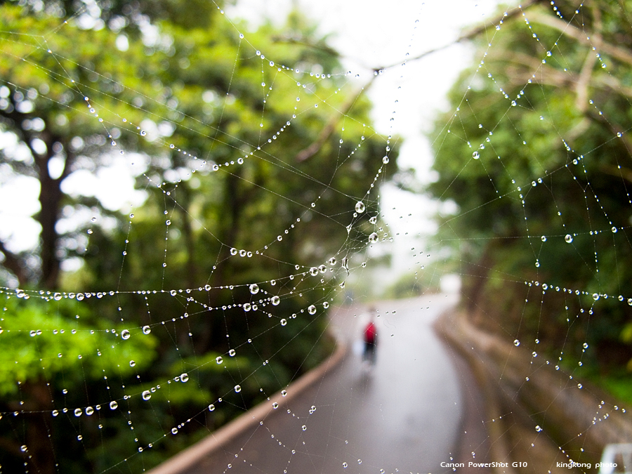 IMG_1510.JPG - THE HONG KONG TRAIL 6