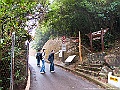 IMG_1498