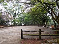 IMG_1501