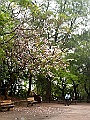 IMG_1504