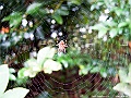 IMG_1512