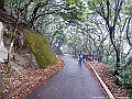 IMG_1520