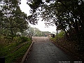 IMG_1523