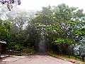 IMG_1527