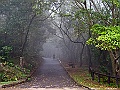 IMG_1528