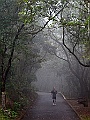 IMG_1529