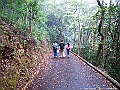 IMG_1531