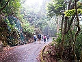 IMG_1532