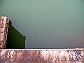 IMG_1564