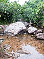 IMG_1574