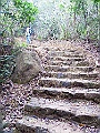 IMG_1576