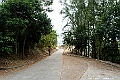 _DSC5250