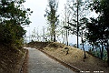 _DSC5251