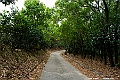 _DSC5252
