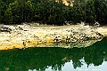 _DSC5281