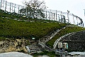 _DSC5293