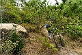 _DSC5298