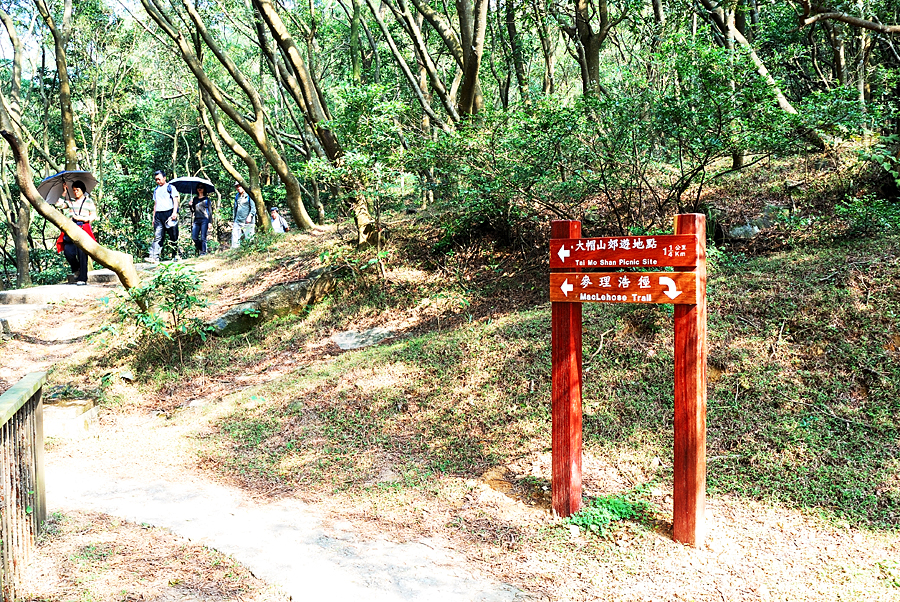 DSC_5665.jpg