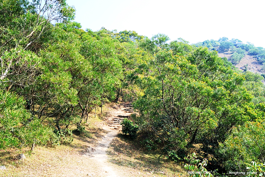 DSC_5709.jpg