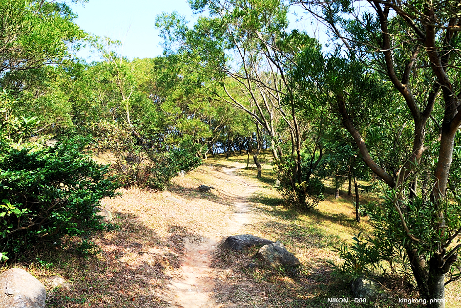 DSC_5711.jpg