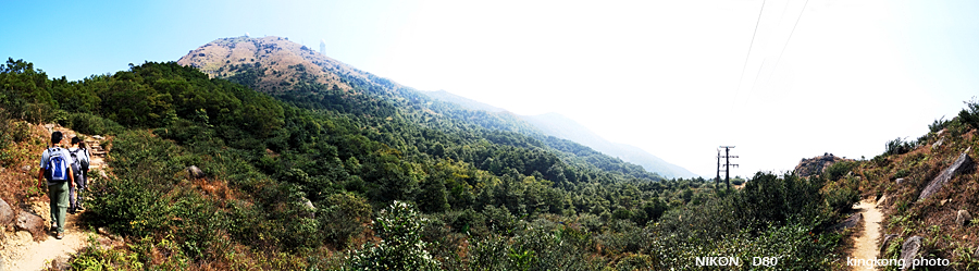 DSC_5799.jpg