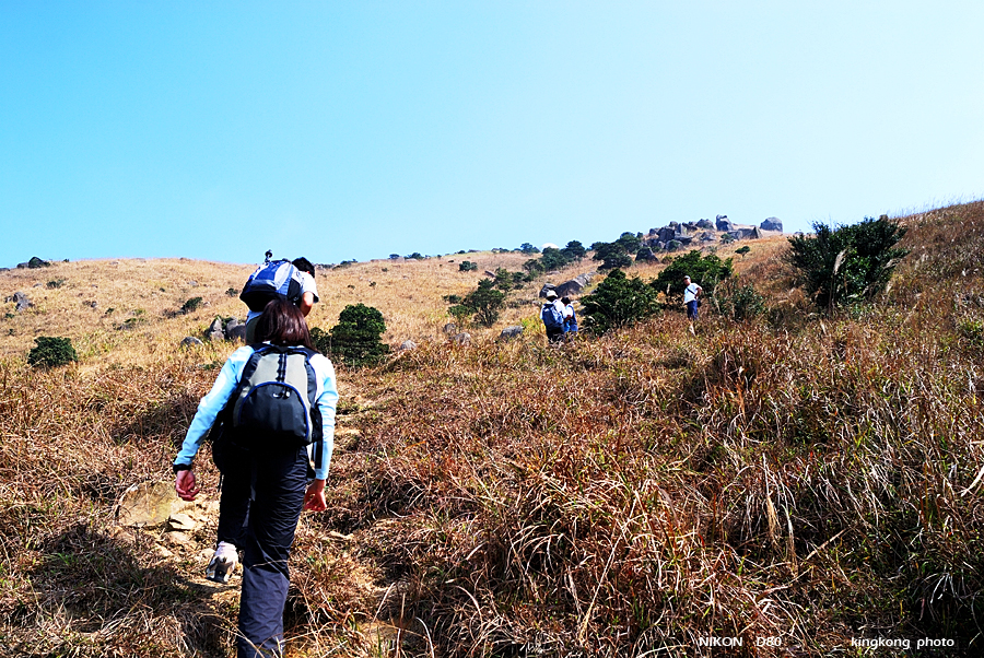 DSC_5859.jpg