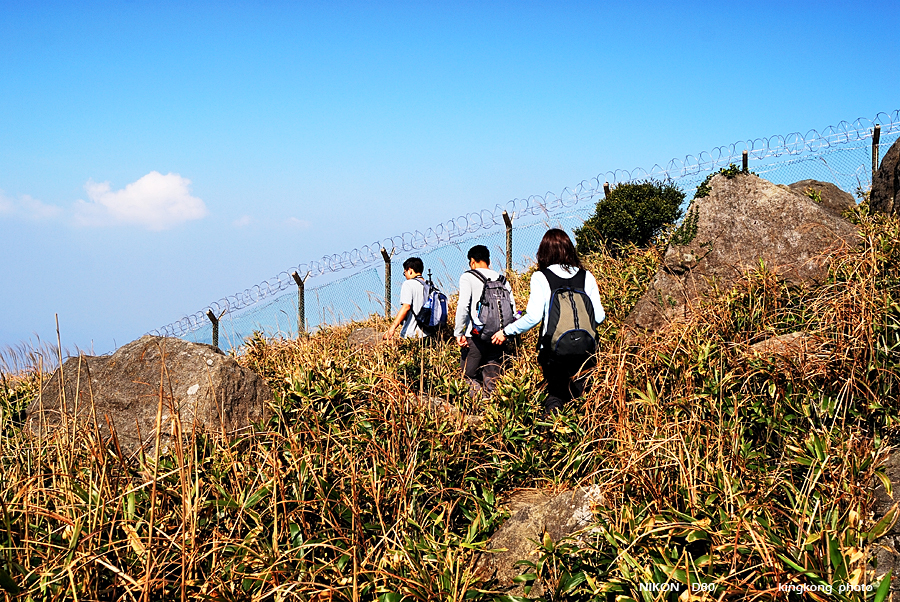 DSC_5948.jpg