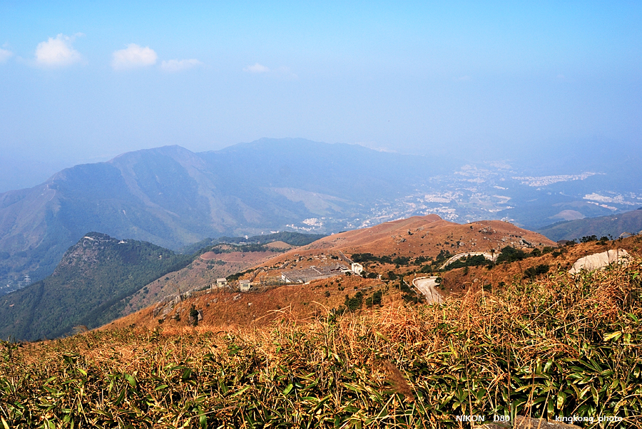 DSC_5949.jpg