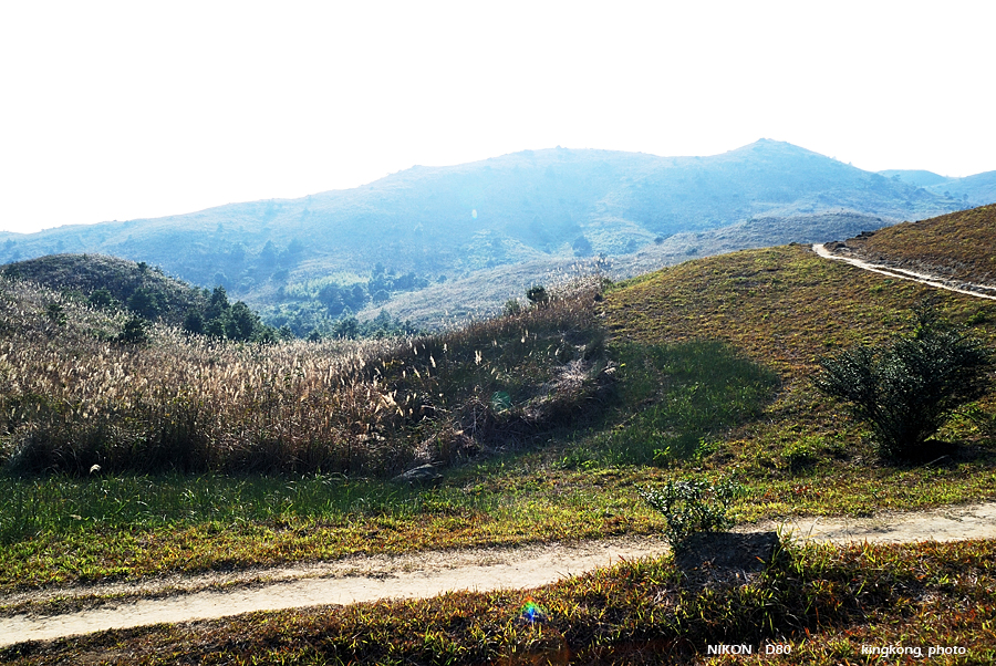 DSC_6205.jpg