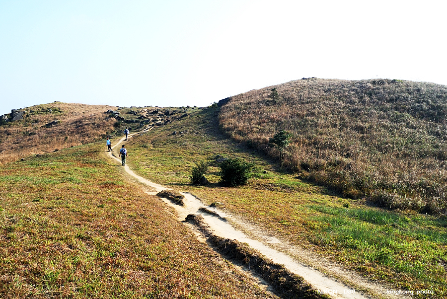 DSC_6206.jpg