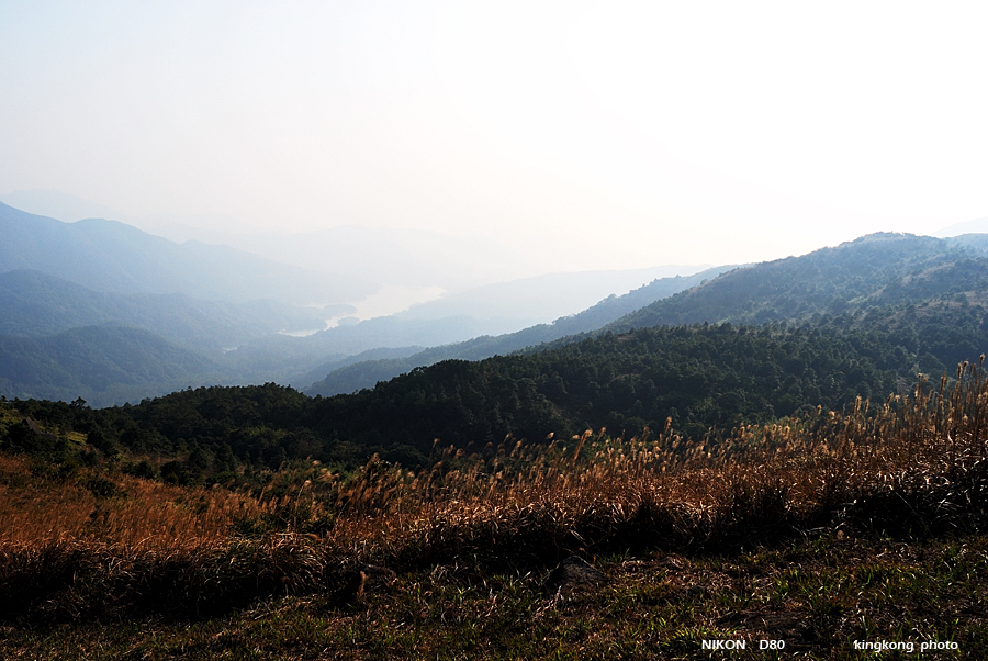 DSC_6211.jpg