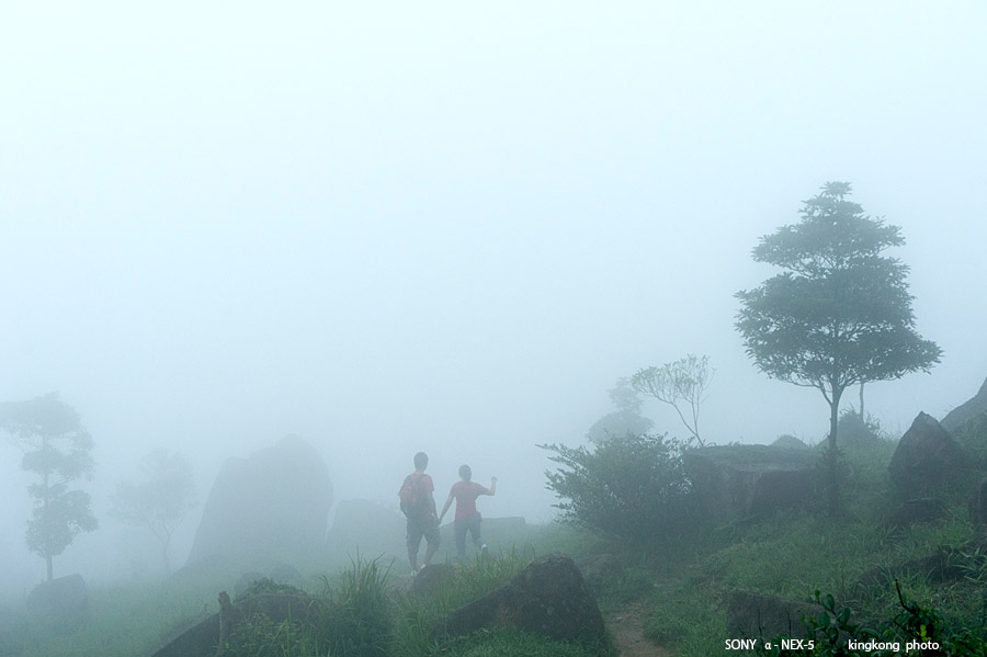 _DSC6082.jpg - SONY DSC