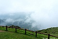 _DSC6018