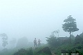_DSC6082