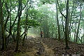 _DSC6086