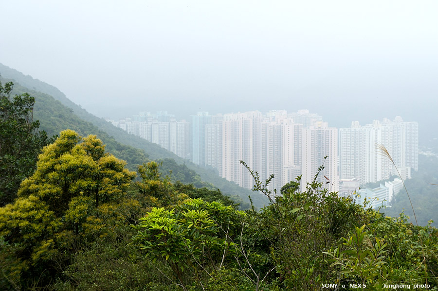 _DSC1337.jpg - Taken at Latitude/Longitude:22.480649/114.129217. 0.52 km South-West Wa Mei Shan  Hong Kong   (Map link) 