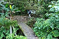 _DSC1234