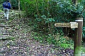 _DSC1236