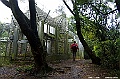 _DSC1240
