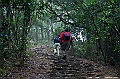 _DSC1242
