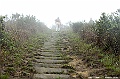 _DSC1253