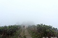 _DSC1254